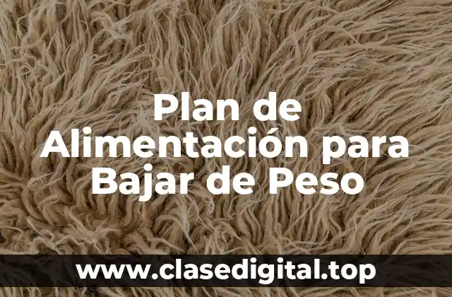 ¿Por qué es importante un plan de alimentación para bajar de peso?
