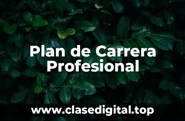 Plan de Carrera Profesional