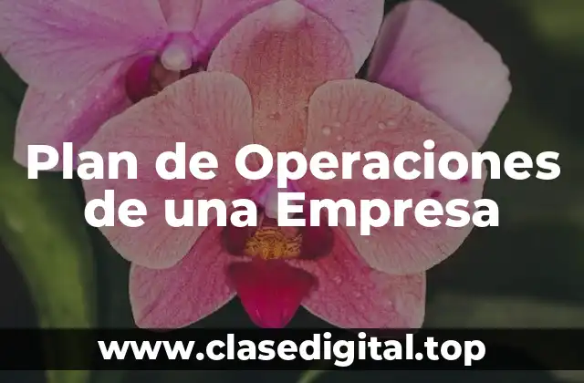 Plan de Operaciones de una Empresa