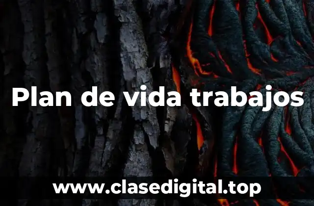 Plan de vida trabajos