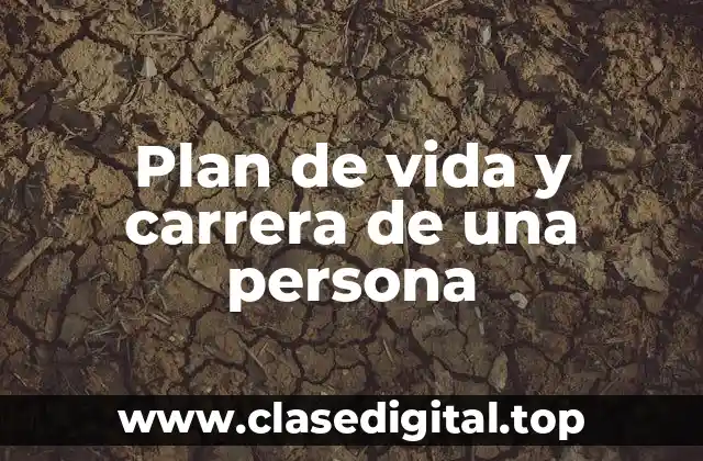 Plan de vida y carrera de una persona