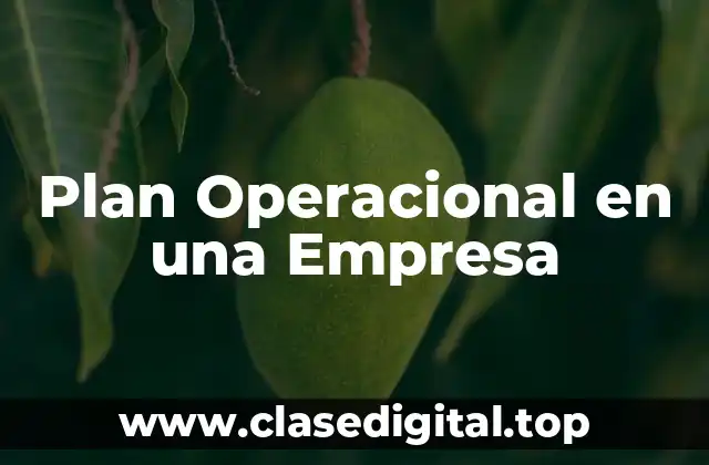 Plan Operacional en una Empresa