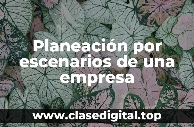 Planeación por escenarios de una empresa