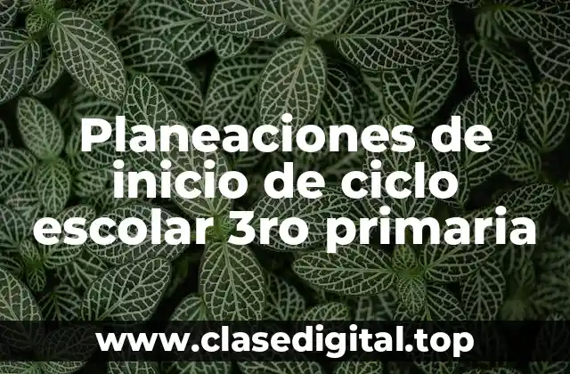 Planeaciones de inicio de ciclo escolar 3ro primaria