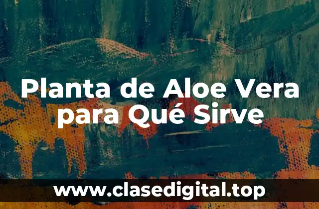 Planta de Aloe Vera para Qué Sirve