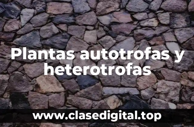 Plantas autotrofas y heterotrofas