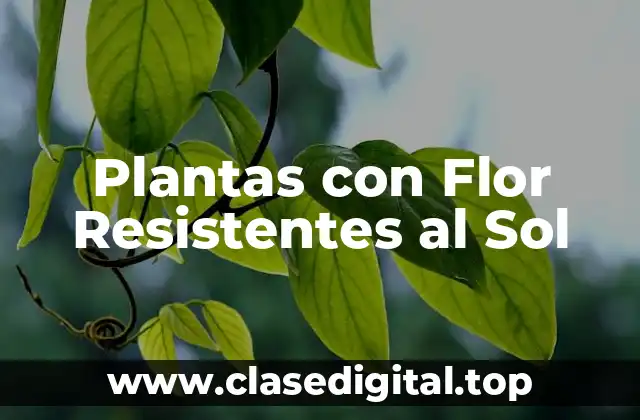 Ventajas de las Plantas con Flor Resistentes al Sol