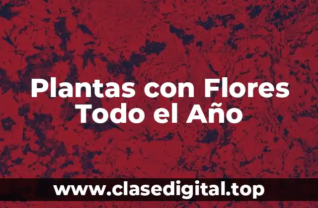 Plantas con Flores Todo el Año