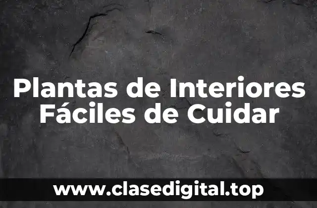 ¿Por qué las Plantas de Interiores son tan Beneficiosas?