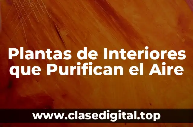 Plantas de Interiores que Purifican el Aire