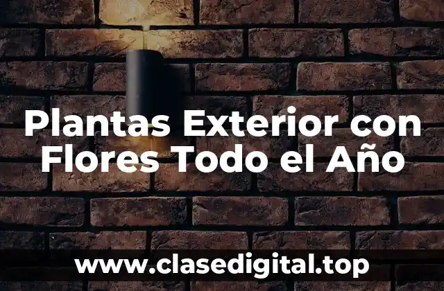 Plantas Exterior con Flores Todo el Año
