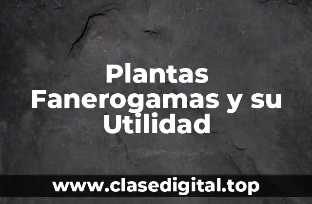 Plantas Fanerogamas y su Utilidad