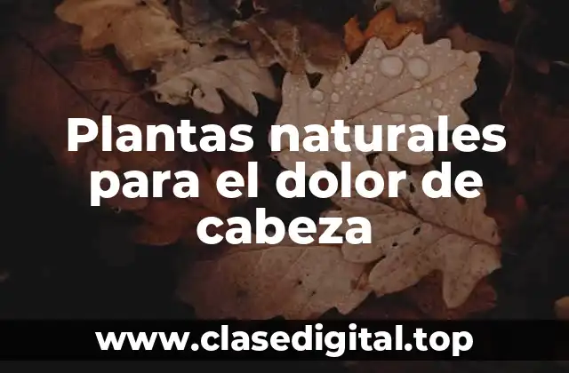 Plantas naturales para el dolor de cabeza