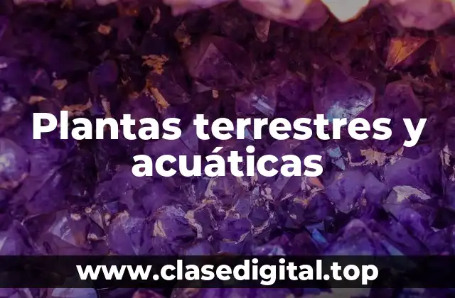 Plantas terrestres y acuáticas
