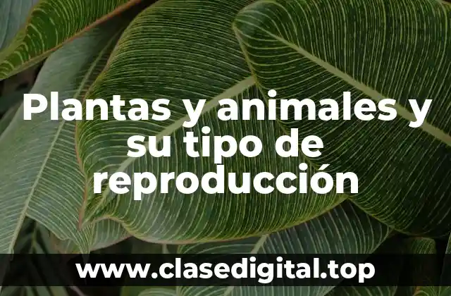 Plantas y animales y su tipo de reproducción