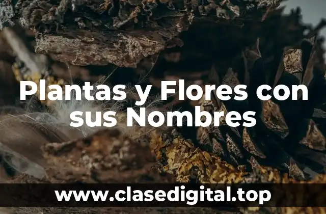 Plantas y Flores con sus Nombres