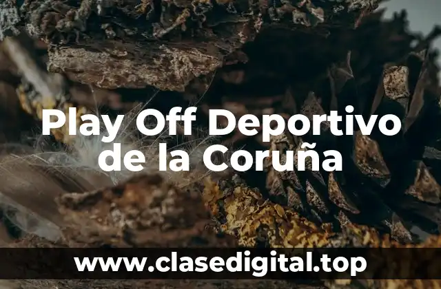 Play Off Deportivo de la Coruña