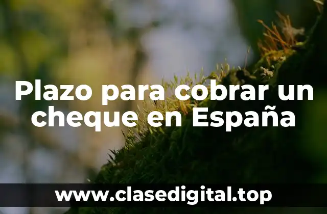 Plazo para cobrar un cheque en España