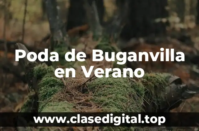 ¿Por qué la Poda es Importante para la Buganvilla?