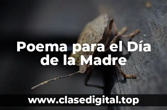 Poema para el Día de la Madre