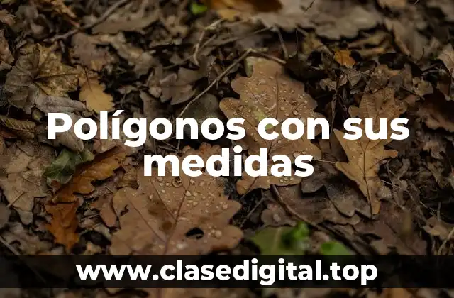 Polígonos con sus medidas