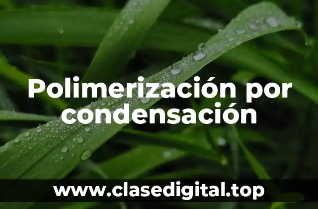 Polimerización por condensación