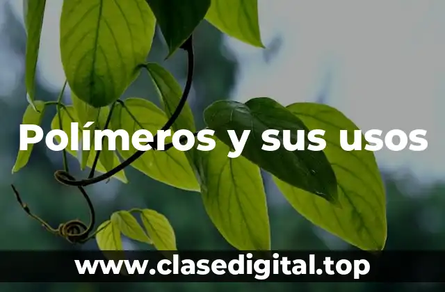 Polímeros y sus usos