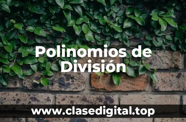 Polinomios de División