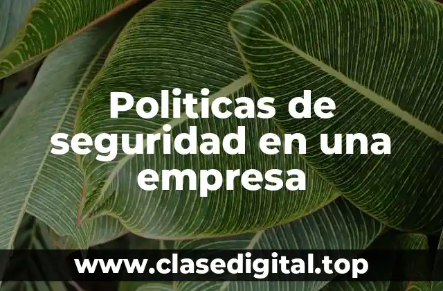 Ejemplos de políticas de seguridad en una empresa