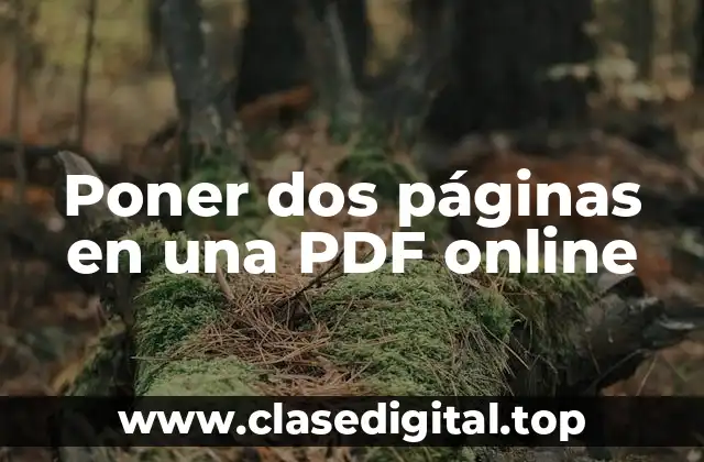 Poner dos páginas en una PDF online