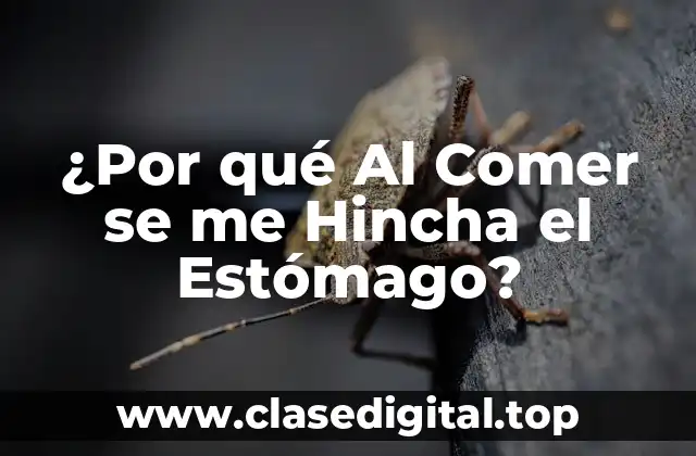 Causas Comunes de la Hinchazón Abdominal después de Comer