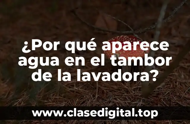 ¿Por qué aparece agua en el tambor de la lavadora?