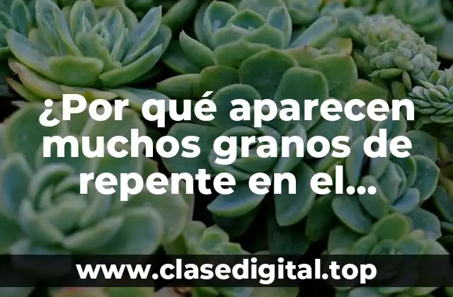 ¿Por qué aparecen muchos granos de repente en el cuerpo?