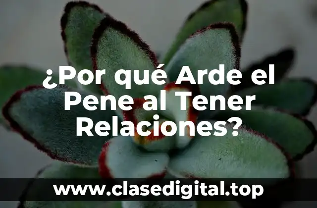 ¿Por qué Arde el Pene al Tener Relaciones?