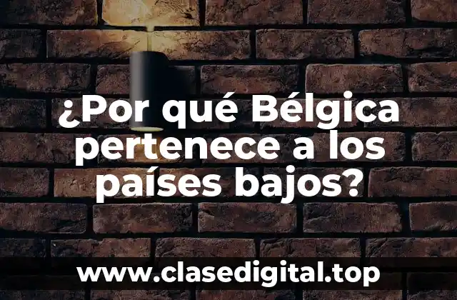 ¿Por qué Bélgica pertenece a los países bajos?