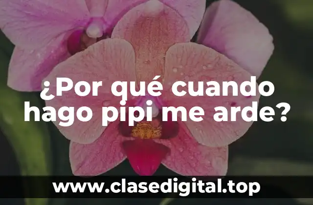 ¿Por qué cuando hago pipi me arde?