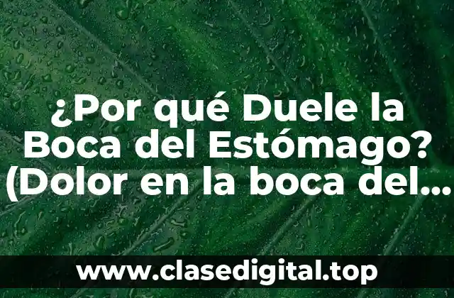 ¿Por qué Duele la Boca del Estómago? (Dolor en la boca del estómago)
