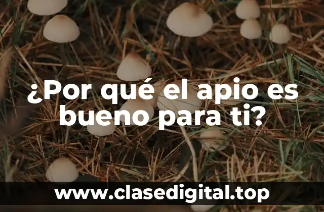 ¿Por qué el apio es bueno para ti?