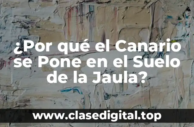 La Importancia de la Observación del Comportamiento del Canario