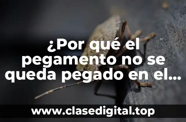 ¿Por qué el pegamento no se queda pegado en el envase?