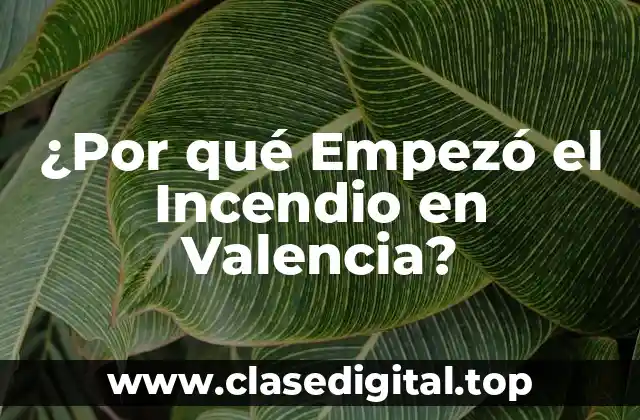 ¿Por qué Empezó el Incendio en Valencia?