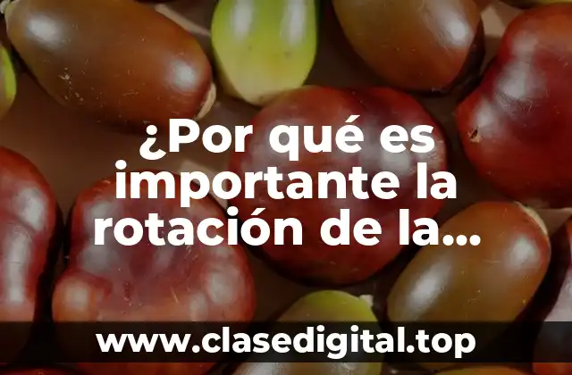 ¿Por qué es importante la rotación de la Tierra?