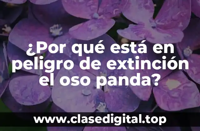 ¿Por qué está en peligro de extinción el oso panda?