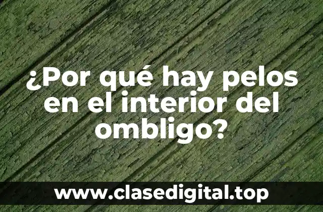 ¿Por qué hay pelos en el interior del ombligo?