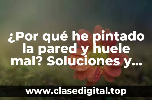 ¿Por qué he pintado la pared y huele mal? Soluciones y consejos prácticos