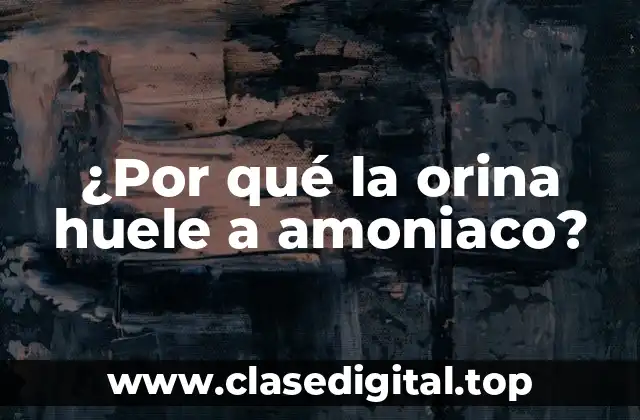 ¿Por qué la orina huele a amoniaco?