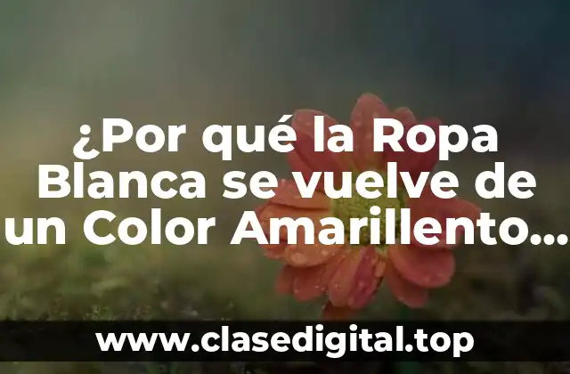 ¿Por qué la Ropa Blanca se vuelve de un Color Amarillento después de Lavarse?