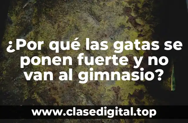 ¿Por qué las gatas se ponen fuerte y no van al gimnasio?