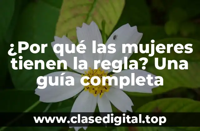 ¿Por qué las mujeres tienen la regla? Una guía completa