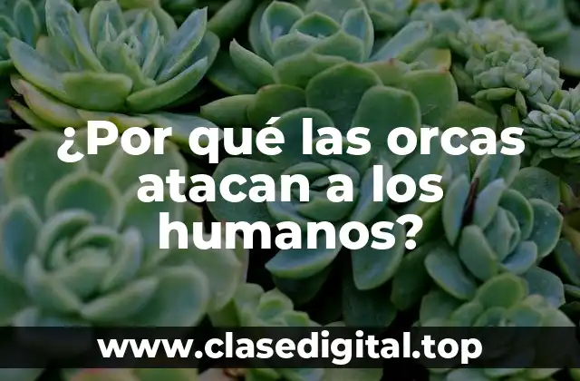¿Por qué las orcas atacan a los humanos?
